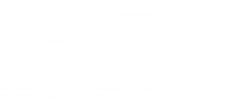 Ultimate Bike Service